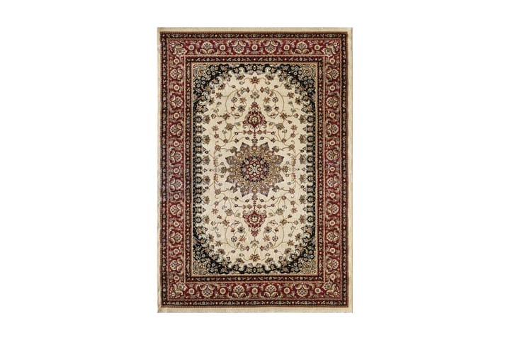 Matto Naple Norsunluu/Tummanpunainen 160x230 - D-sign - Wilton-matto - Kuviollinen matto & värikäs matto