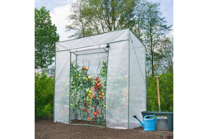 Nature Tomaattikasvihuone 198x78x200 cm - Läpinäkyvä - Vapaasti seisova kasvihuone - Kasvihuone
